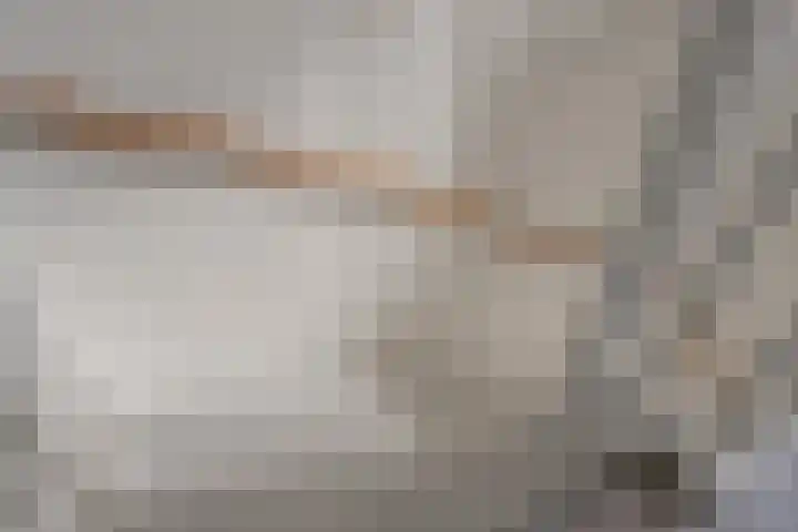 Turennesingel 236 Lent thumbnail 39