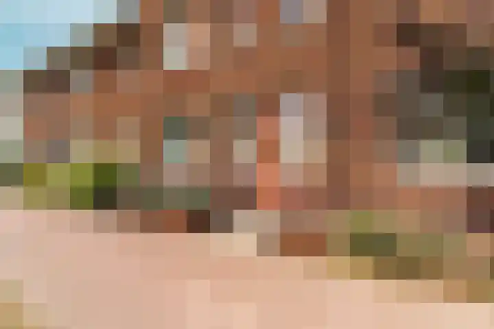 Turennesingel 236 Lent thumbnail 4