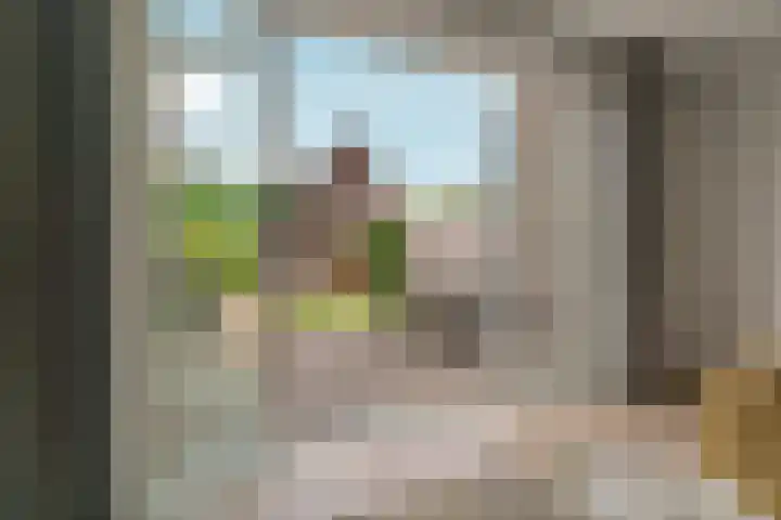 Turennesingel 236 Lent thumbnail 40