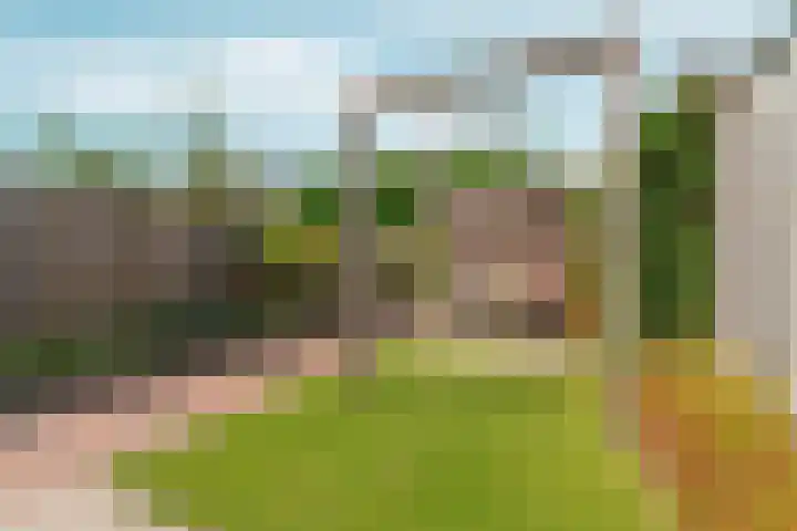 Turennesingel 236 Lent thumbnail 42