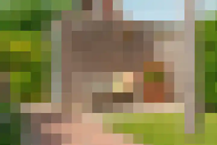 Turennesingel 236 Lent thumbnail 43