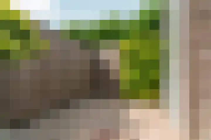 Turennesingel 236 Lent thumbnail 44