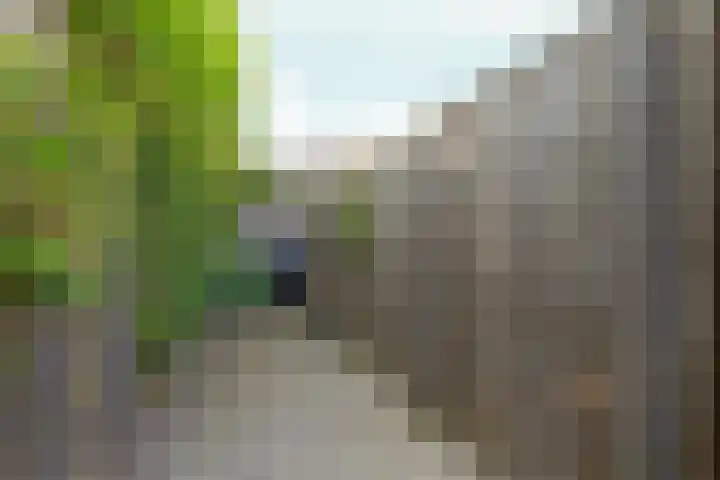 Turennesingel 236 Lent thumbnail 45