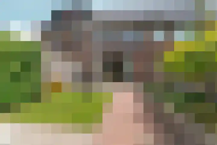 Turennesingel 236 Lent thumbnail 46