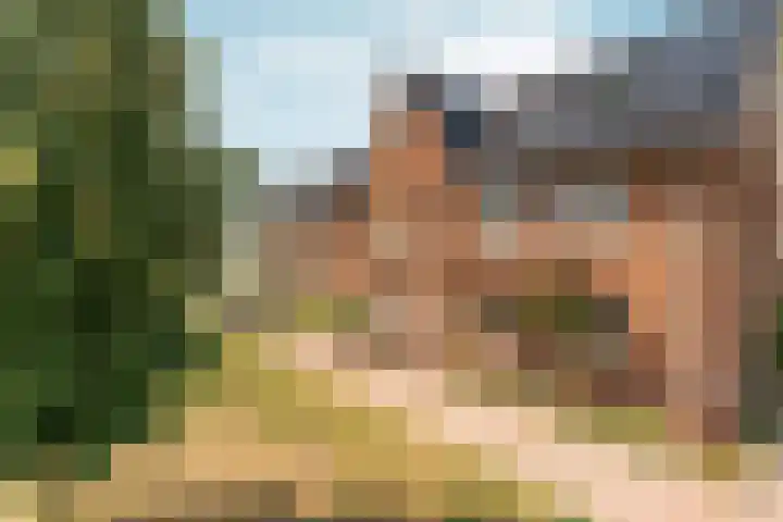 Turennesingel 236 Lent thumbnail 51