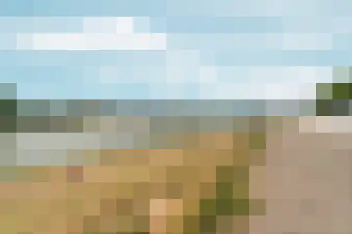 Turennesingel 236 Lent thumbnail 53