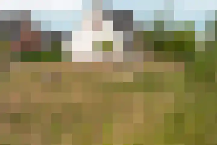 Turennesingel 236 Lent thumbnail 54