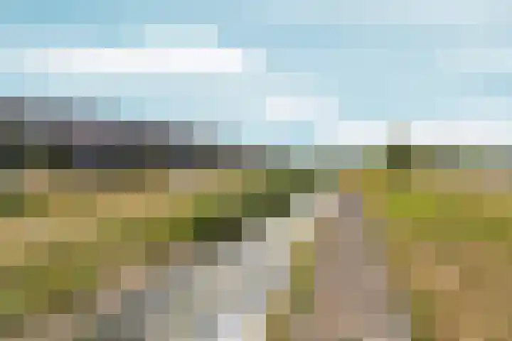 Turennesingel 236 Lent thumbnail 56