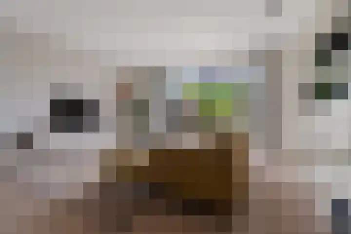 Turennesingel 236 Lent thumbnail 6