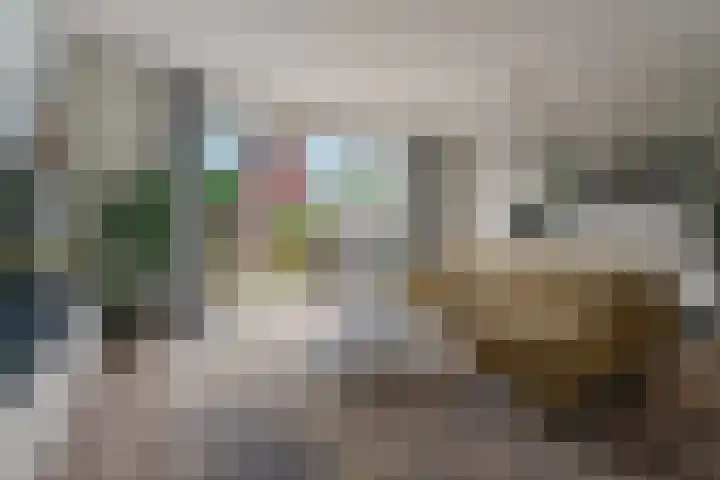 Turennesingel 236 Lent thumbnail 7