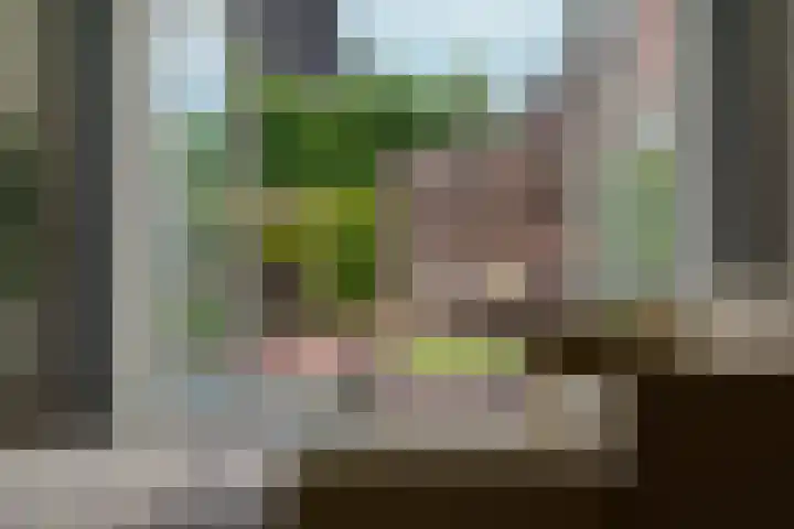 Turennesingel 236 Lent thumbnail 8