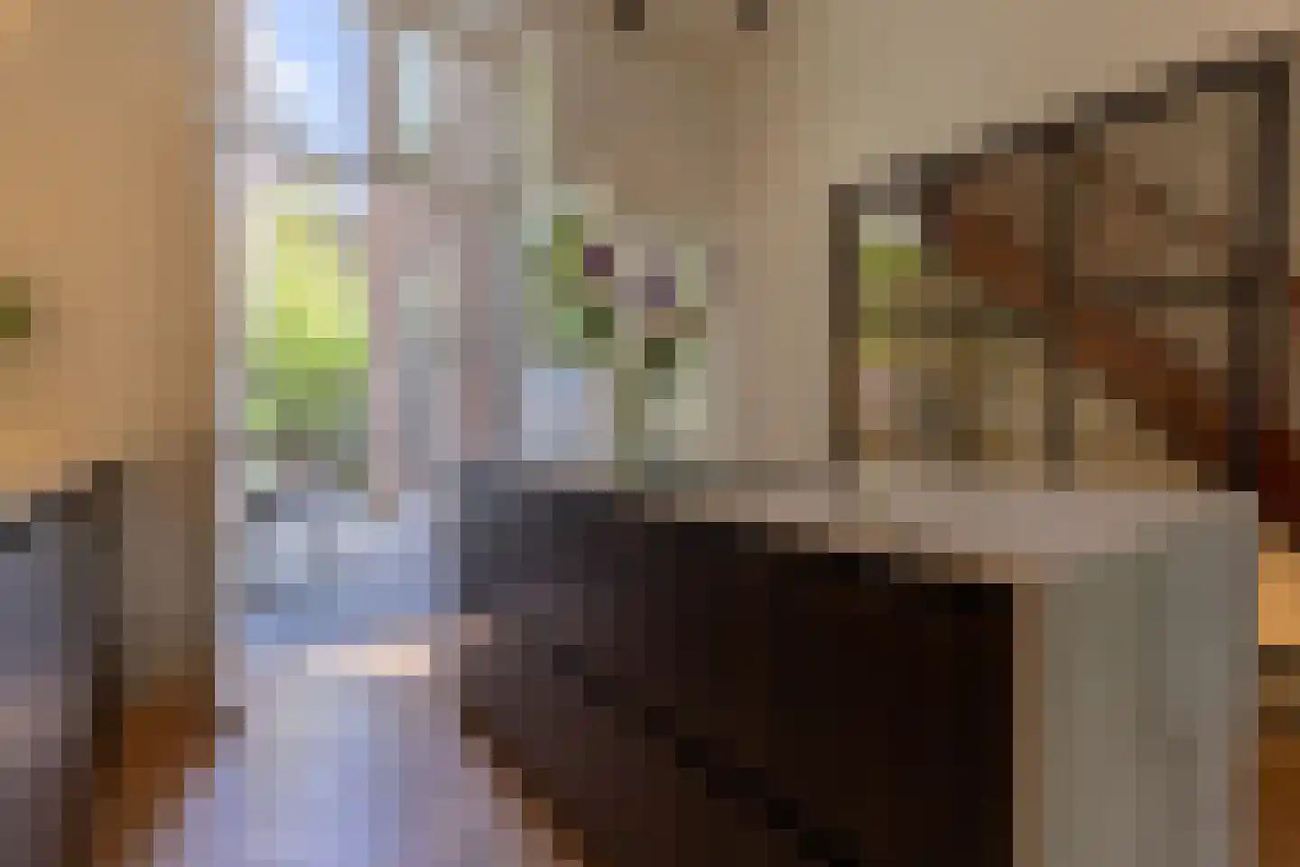 Turennestraat 23 Maastricht thumbnail 10