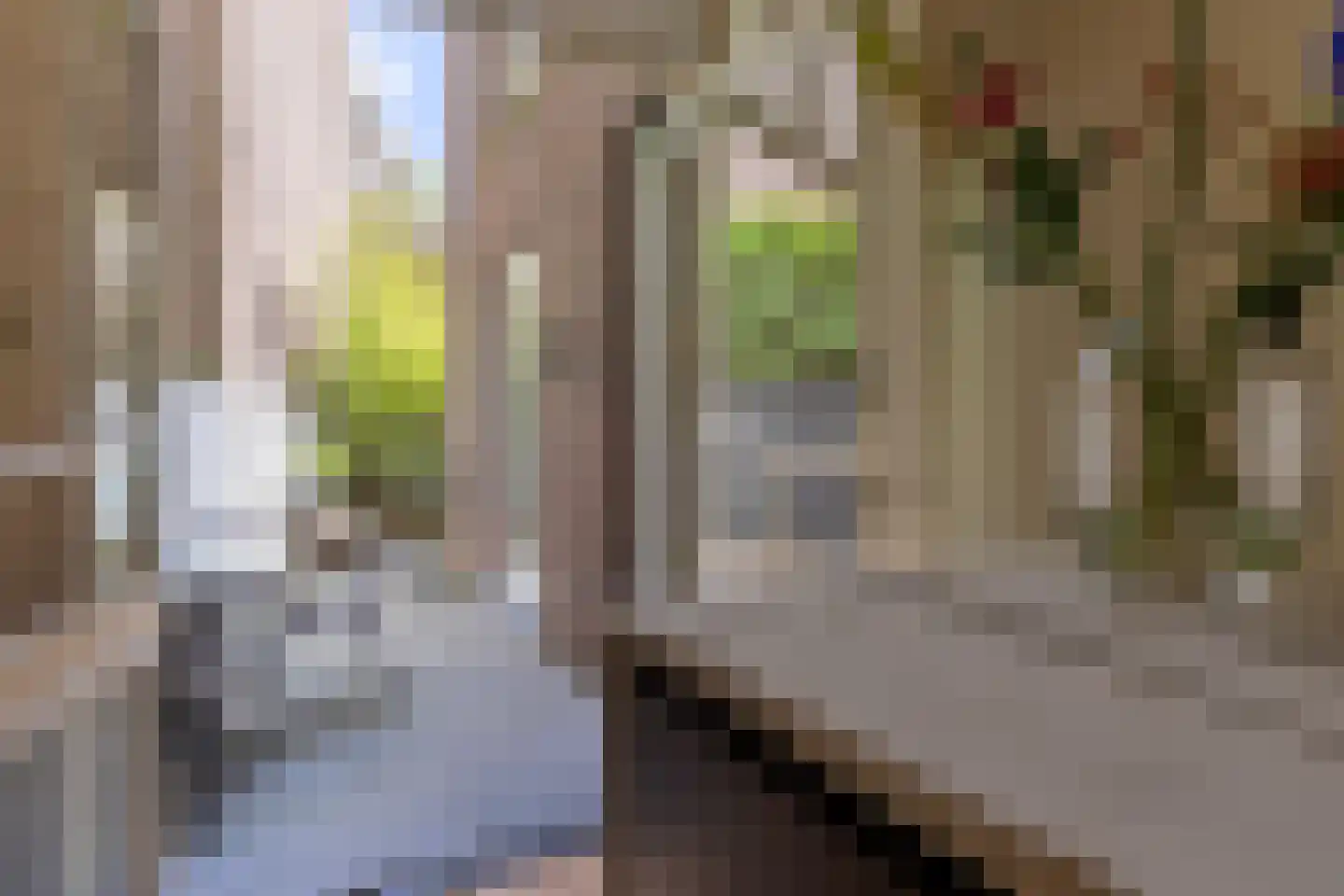 Turennestraat 23 Maastricht thumbnail 11