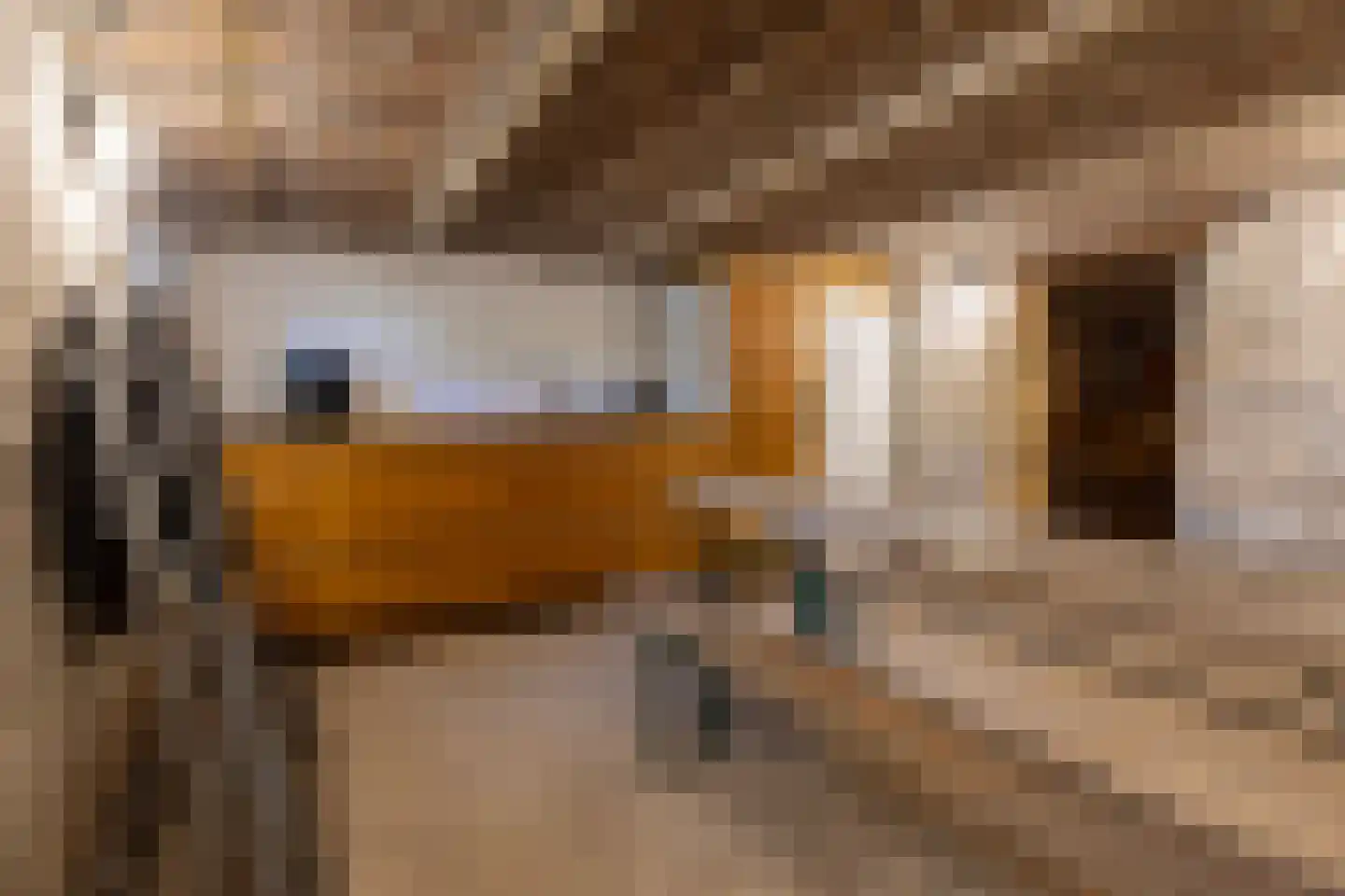 Turennestraat 23 Maastricht thumbnail 30