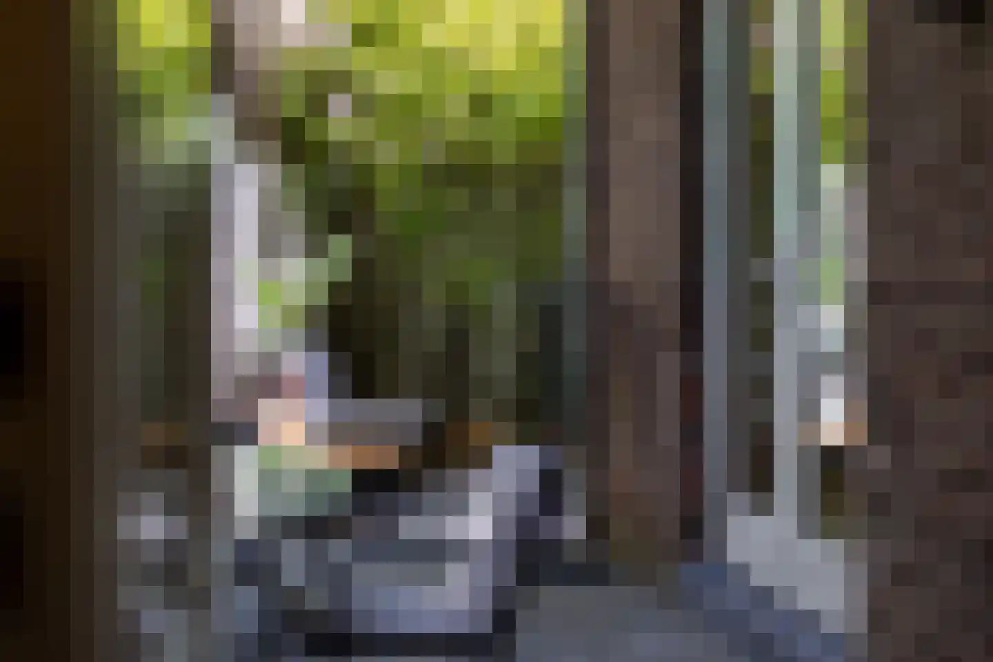 Turennestraat 23 Maastricht thumbnail 36