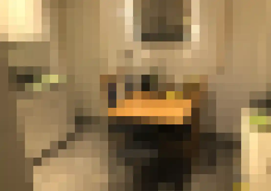 Turennestraat 35 Maastricht thumbnail 4