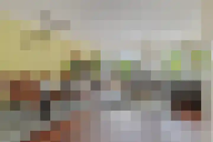Turfakker 11 Koog aan de Zaan thumbnail 10