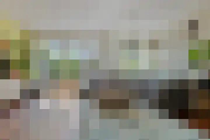 Turfakker 11 Koog aan de Zaan thumbnail 11