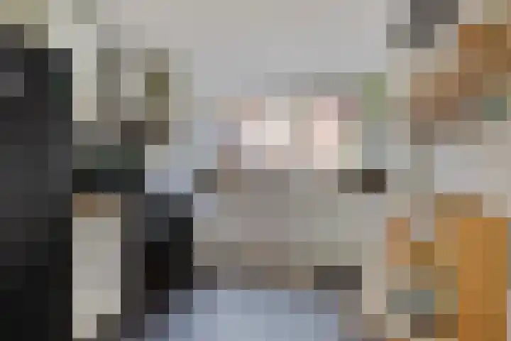 Turfakker 11 Koog aan de Zaan thumbnail 16