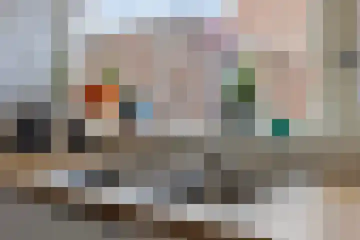 Turfakker 11 Koog aan de Zaan thumbnail 18