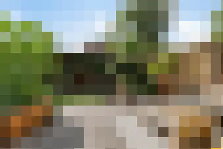 Turfakker 11 Koog aan de Zaan foto 2