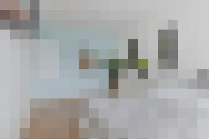Turfakker 11 Koog aan de Zaan thumbnail 23