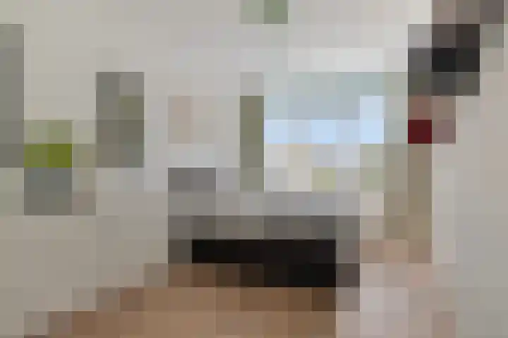 Turfakker 11 Koog aan de Zaan thumbnail 24
