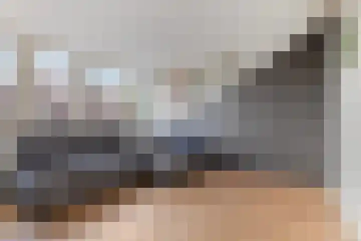 Turfakker 11 Koog aan de Zaan thumbnail 30