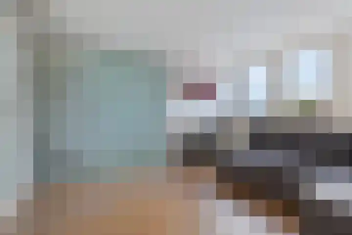 Turfakker 11 Koog aan de Zaan thumbnail 31
