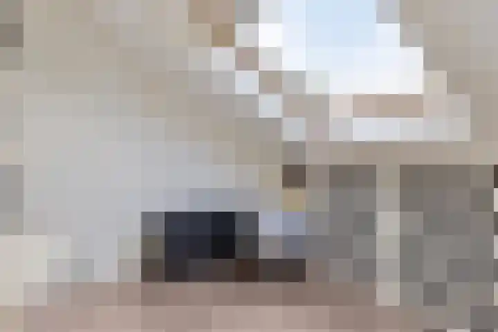 Turfakker 11 Koog aan de Zaan thumbnail 33