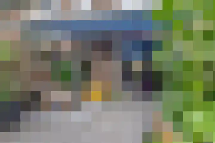Turfakker 11 Koog aan de Zaan thumbnail 35