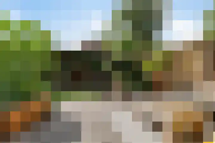Turfakker 11 Koog aan de Zaan thumbnail 36