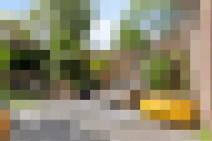 Turfakker 11 Koog aan de Zaan thumbnail 37