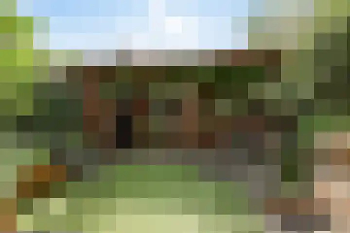 Turfakker 11 Koog aan de Zaan thumbnail 38