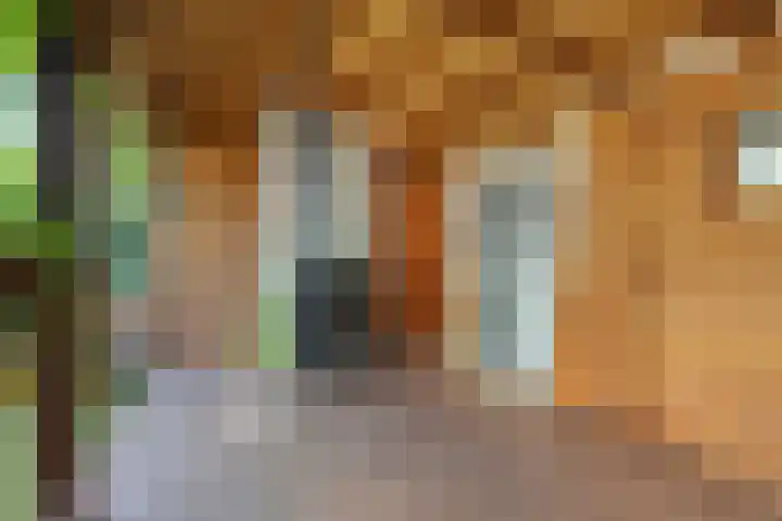 Turfakker 11 Koog aan de Zaan thumbnail 39