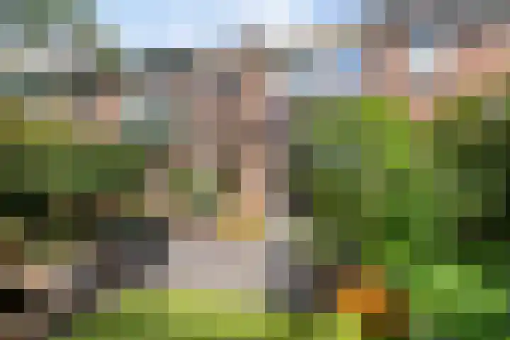 Turfakker 11 Koog aan de Zaan thumbnail 40
