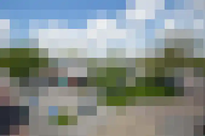 Turfakker 11 Koog aan de Zaan thumbnail 47