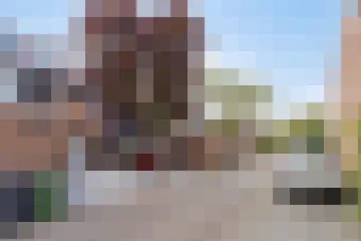 Turfakker 11 Koog aan de Zaan thumbnail 6