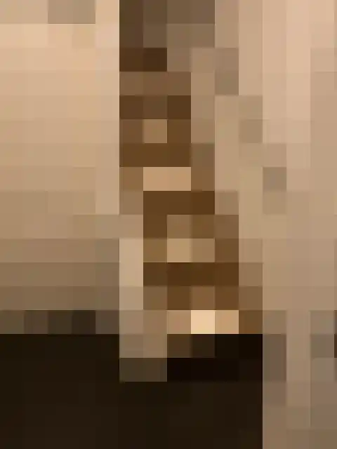 Turfakker 12 Koog aan de Zaan thumbnail 18