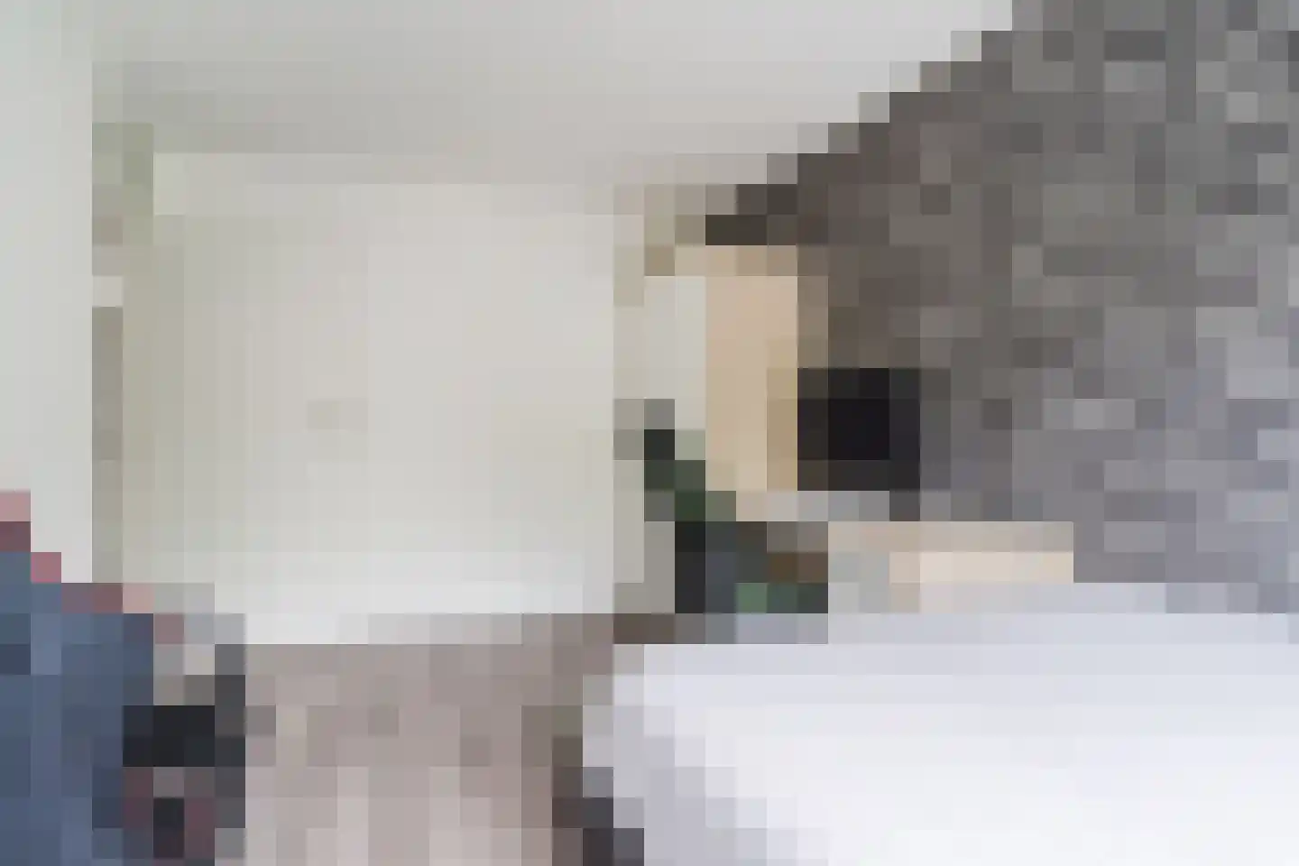 Turfakker 12 Koog aan de Zaan thumbnail 23