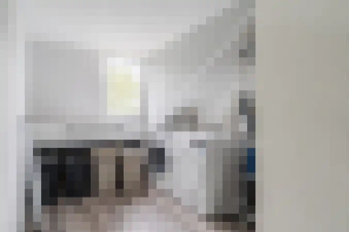 Turfakker 12 Koog aan de Zaan thumbnail 36