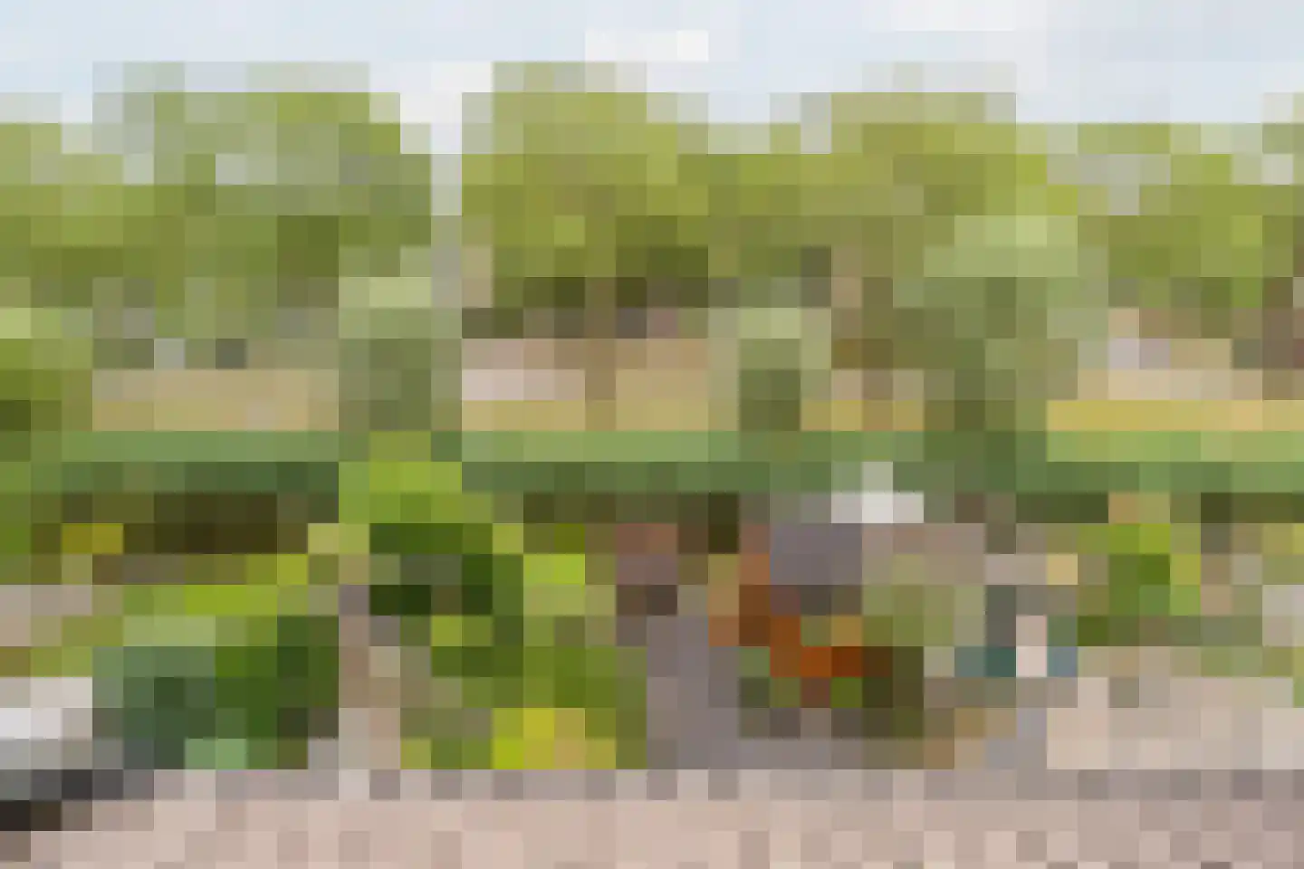 Turfakker 12 Koog aan de Zaan thumbnail 37
