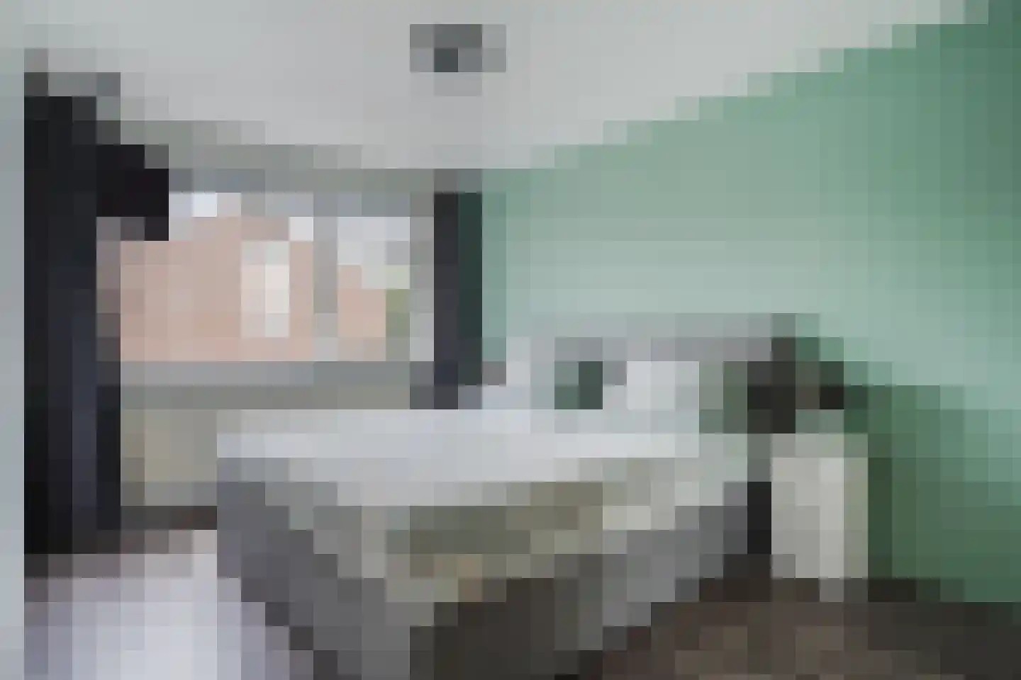 Turfakker 12 Koog aan de Zaan thumbnail 4