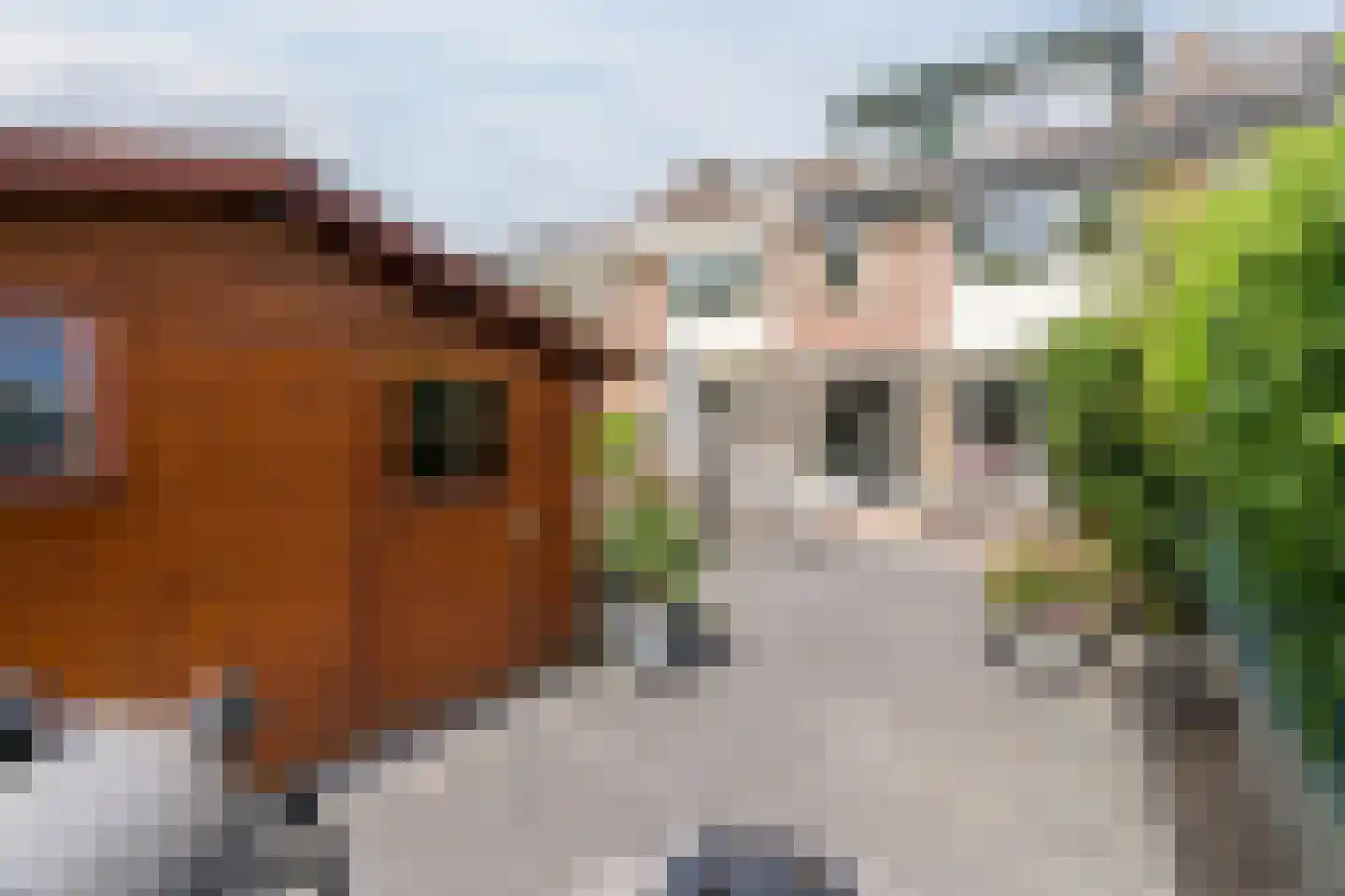 Turfakker 12 Koog aan de Zaan thumbnail 41