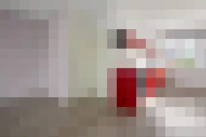 Turfakker 21 Koog aan de Zaan thumbnail 14