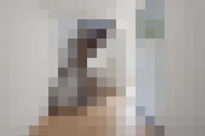 Turfakker 21 Koog aan de Zaan thumbnail 18