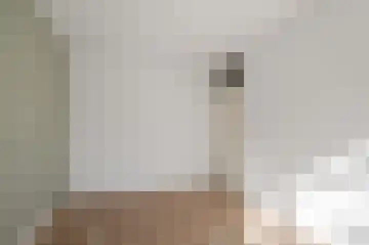 Turfakker 21 Koog aan de Zaan thumbnail 20