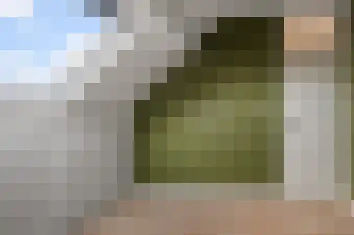 Turfakker 21 Koog aan de Zaan thumbnail 22