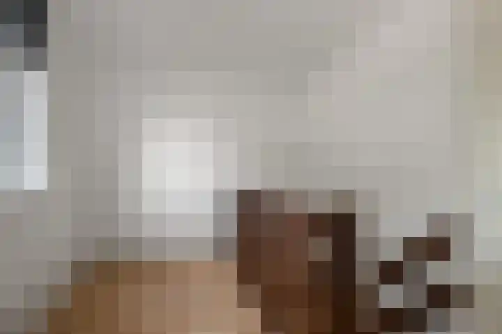 Turfakker 21 Koog aan de Zaan thumbnail 25