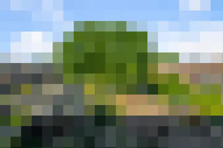 Turfakker 21 Koog aan de Zaan thumbnail 28
